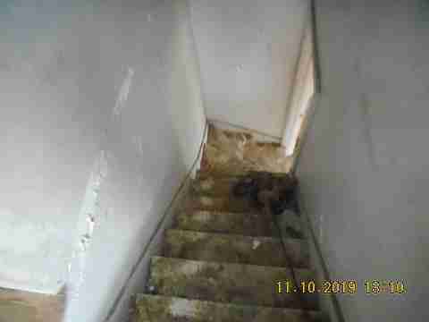 12090 Roselawn (56)_m.jpg